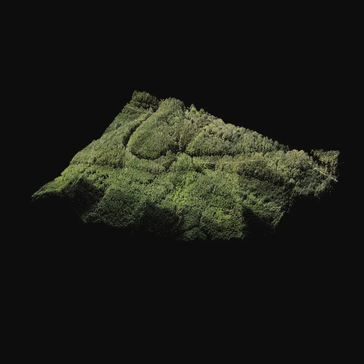 LiDAR scan of a forested stretch for a road project, cover image