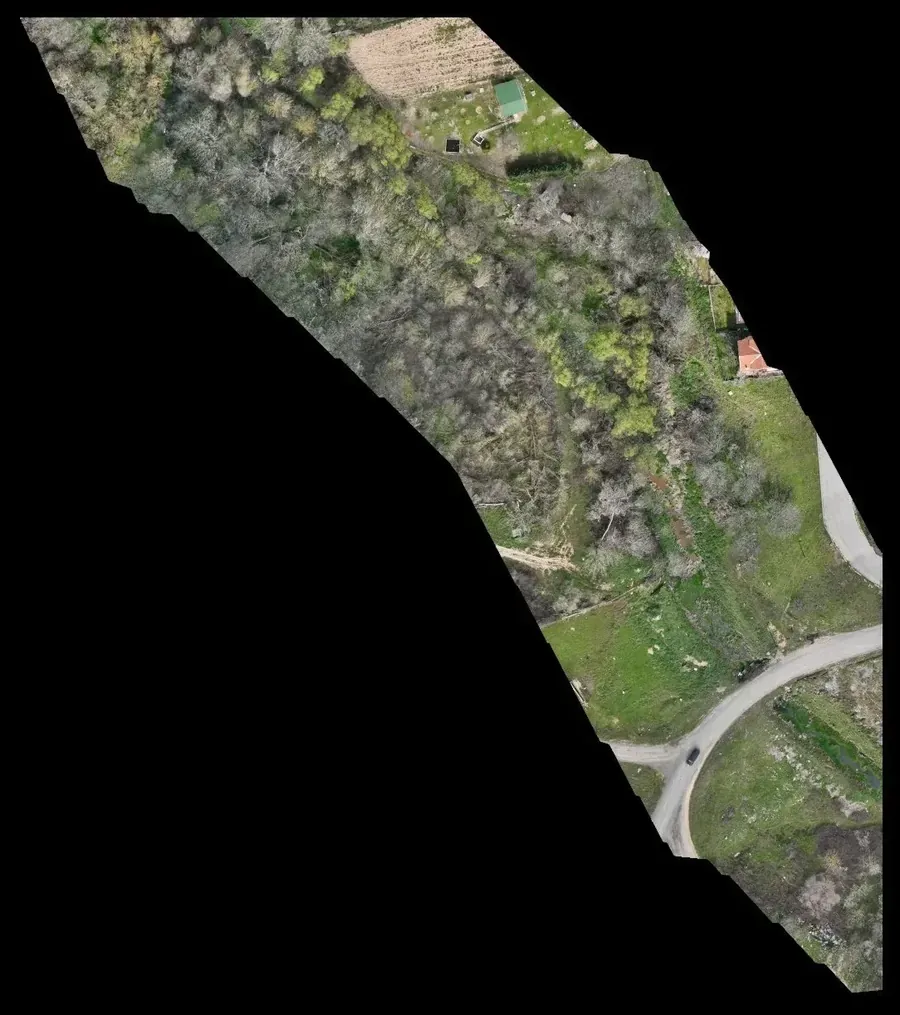 Orthophoto of the stream corridor
