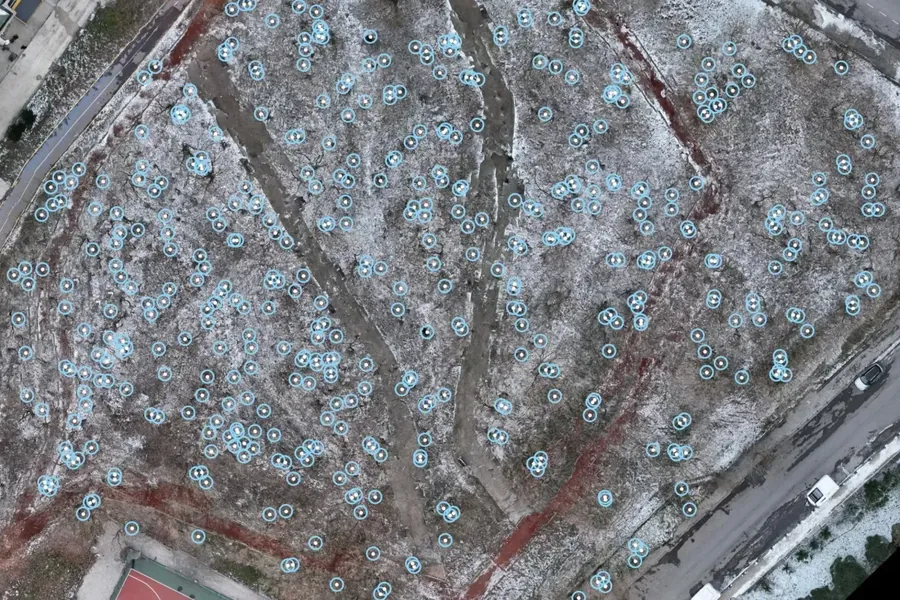 Orthophoto with each tree position marked